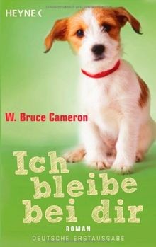 Ich bleibe bei dir roman - bleibe,